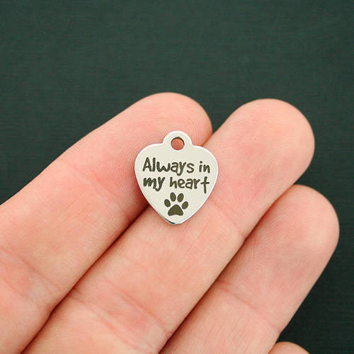 Always in my Heart Stainless Steel Small Heart Charms - BFS012-2487