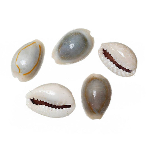 Perles Coquille Naturelle 15mm x 10mm - Blanc Crémeux Naturel - 25 Perles - BD565