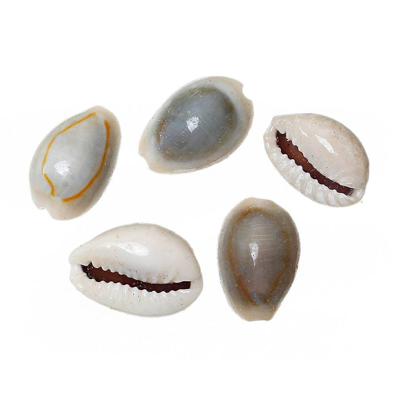 Shell Natural Beads 15mm x 10mm - Natural Creamy White - 25 Beads - BD565
