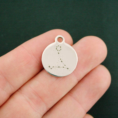 Pisces Constellation Stainless Steel Charms - BFS001-2958