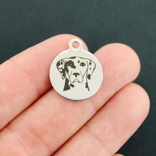 Catahoula Leopard Stainless Steel Charms - BFS001-3849