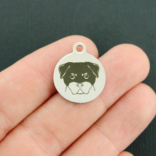 Rottweiler Stainless Steel Charms - BFS001-3878