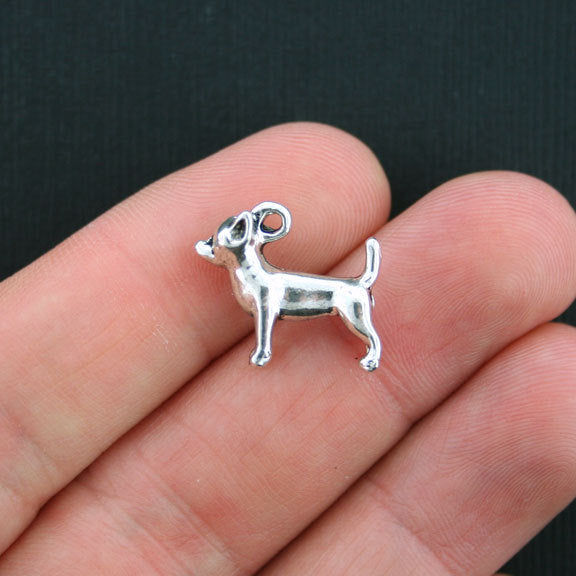 4 Chihuahua Antique Silver Tone Charms 3D - SC2477
