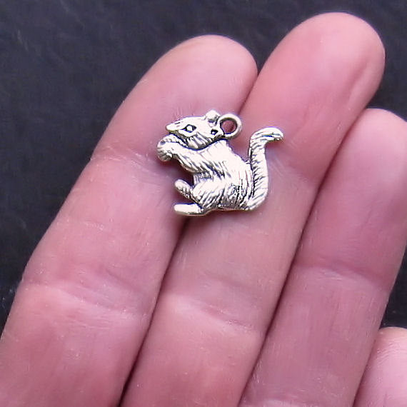 4 Squirrel Antique Silver Tone Charms - SC434