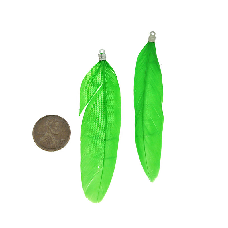 Pendentifs plumes - ton argent et vert vif - 12 pièces - TSP151