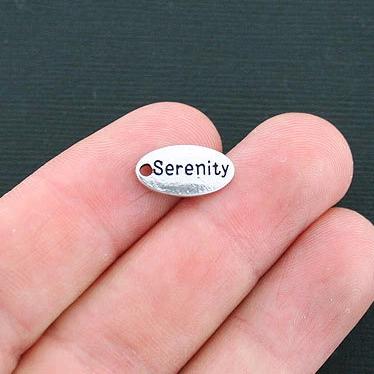 4 Serenity Antique Silver Tone Charms - SC3257