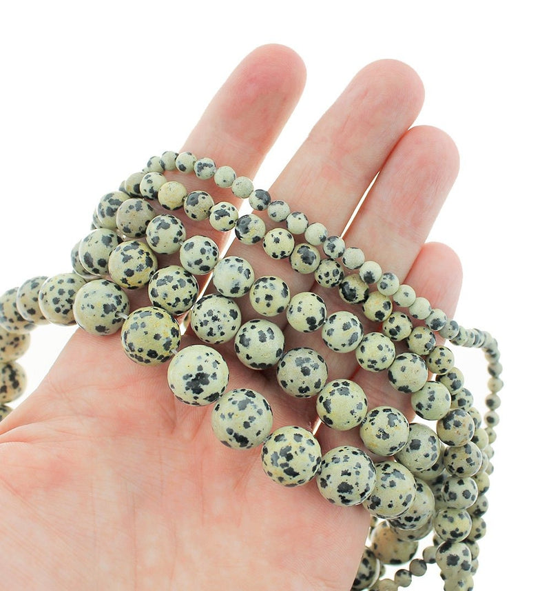 Round Natural Dalmatian Jasper Beads 4mm -12mm - Choose Your Size - Black and White Speckle - 1 Full 15" Strand - BD1836