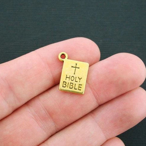 6 Bible Antique Gold Tone Charms 2 Sided - GC283