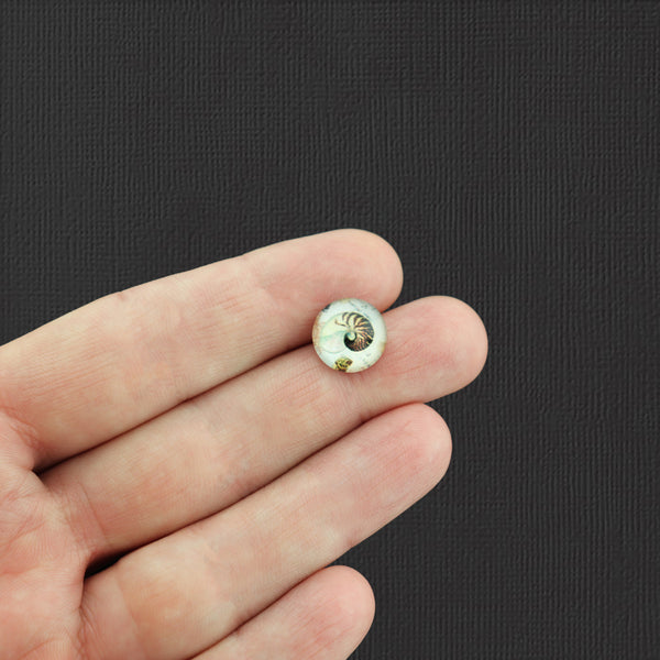 BULK 100 Ocean Glass Dome Cabochon Seals 12mm Assorted Set - M104