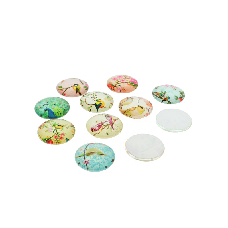 Assorted Floral Bird Glass Dome Cabochon Seals 25mm - 10 Pieces - CBD018
