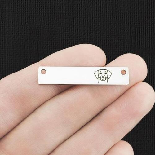 Lab Stainless Steel Connector Charms - BFS017-7717