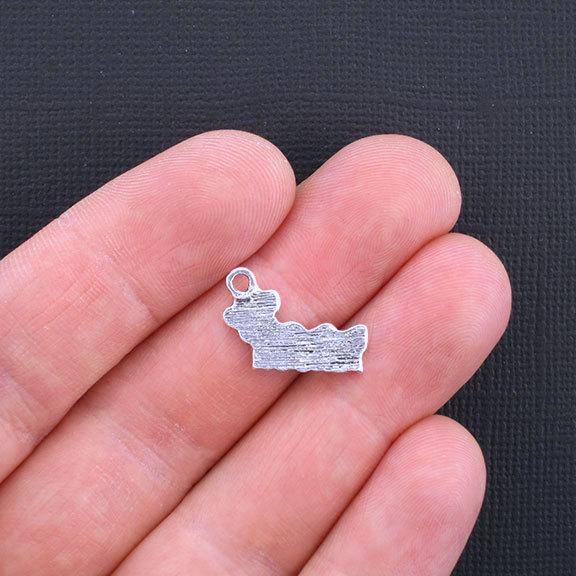 8 Dog Person Antique Silver Tone Charms - SC3328