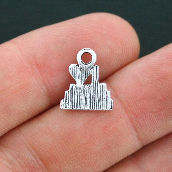 8 Reading Antique Silver Tone Charms - SC4156