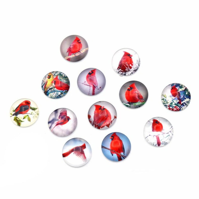 Assorted Red Cardinal Glass Dome Cabochon Seals 20mm - 5 Pieces - Z1537