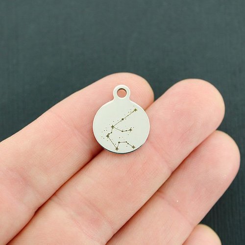 Petites breloques rondes en acier inoxydable Constellation du Verseau - BFS002-3811
