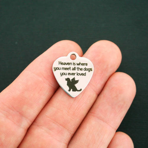 Dog Memorial Stainless Steel Charms - Heaven is where you meet all the dogs you ever loved - BFS011-1858