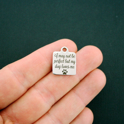 Dog love me Stainless Steel Charms - I may not be perfect but my - BFS013-1049