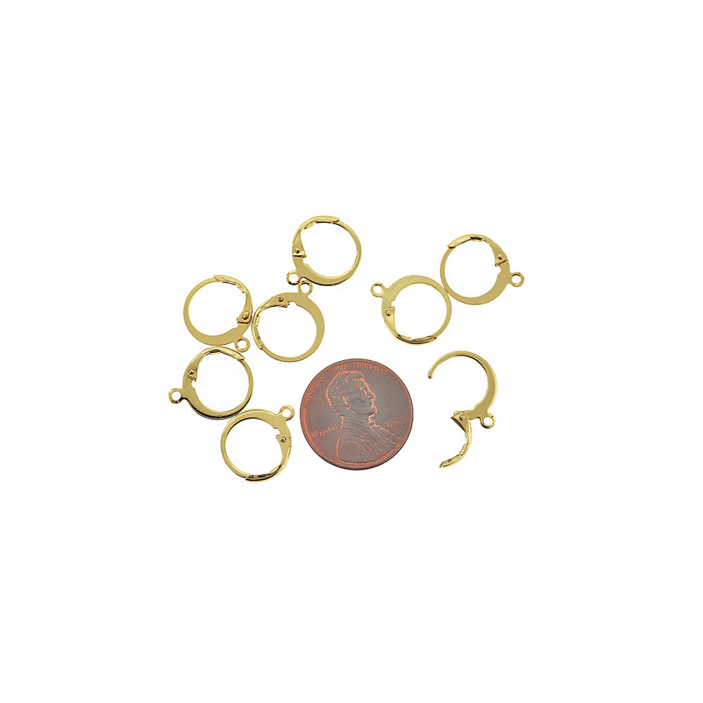 Boucles d'oreilles en acier inoxydable doré - Fils à levier arrière - 14,5 mm x 12 mm - 10 pièces 5 paires - FD885