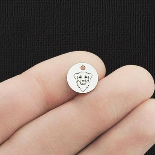 Golden Retriever Stainless Steel 10mm Round Charms - BFS005-5989