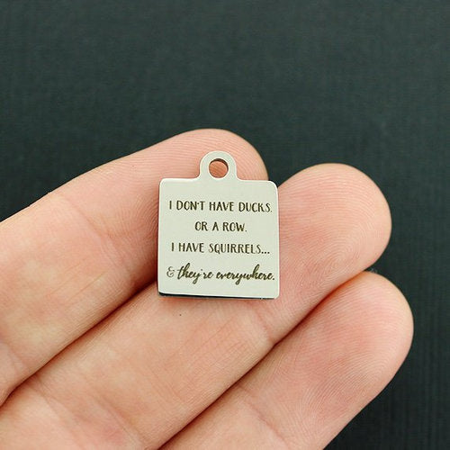 I don't have ducks, Stainless Steel Charms - or a row. I have squirrels... & they're everywhere - BFS013-4209