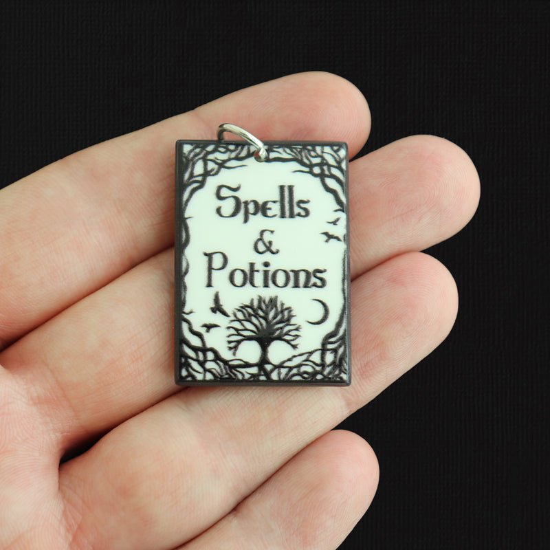 2 Spells And Potions Book Acrylic Charms 2 Sided - K659