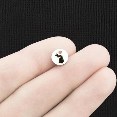 Michigan State Stainless Steel 8mm Round Charms - BFS003-6173