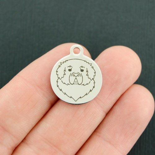 Newfoundland Dog Stainless Steel Charms - BFS001-3871