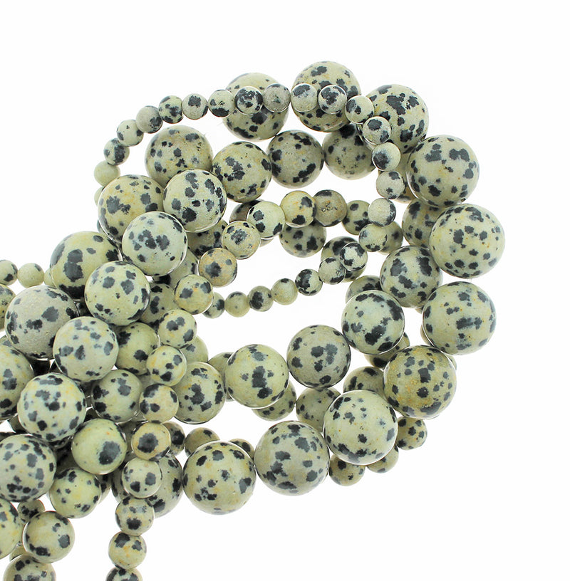 Perles rondes de jaspe dalmatien naturel 4mm -12mm - Choisissez votre taille - Moucheté noir et blanc - 1 brin complet de 15" - BD1836