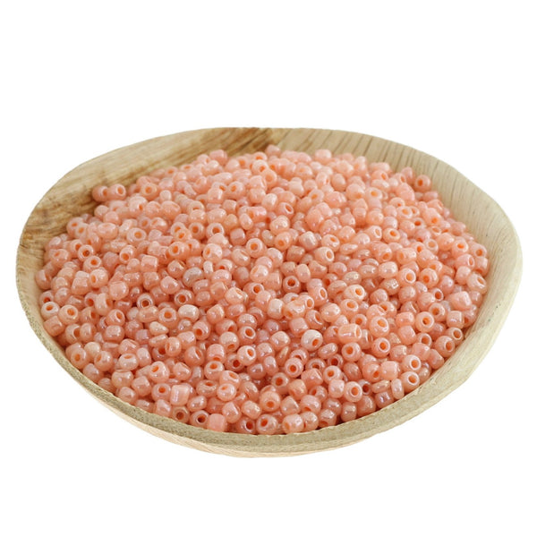 Perles de Verre Graines 8/0 3mm - Pêche Polie - 50g 1100 Perles - BD1170