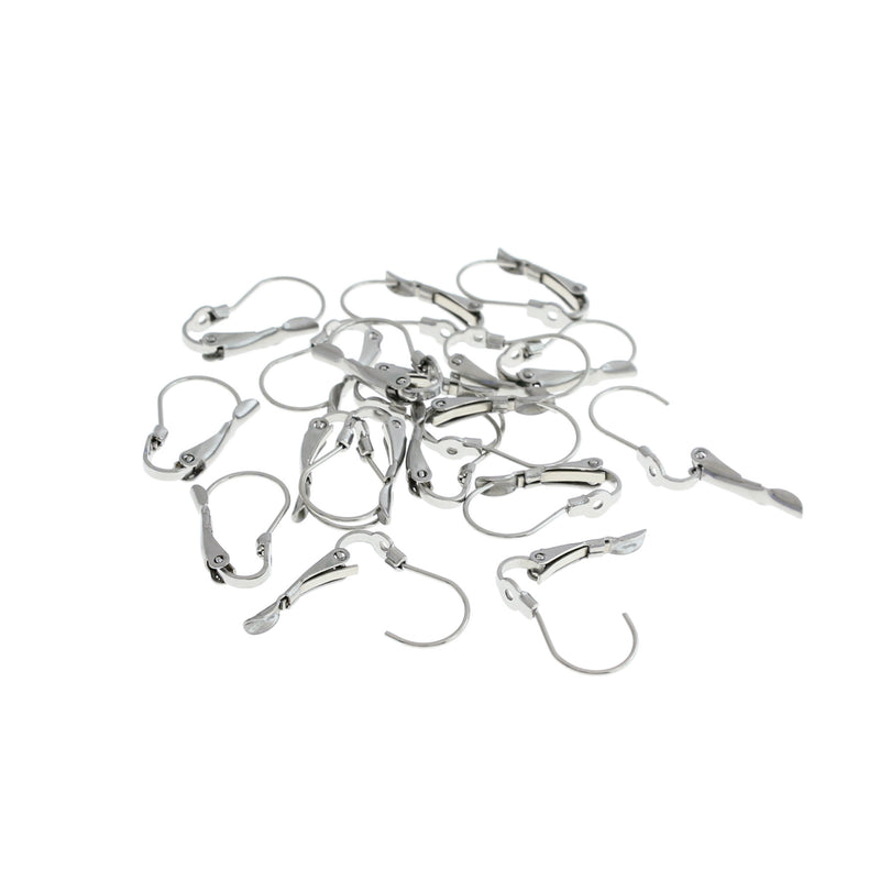 Stainless Steel Earrings - Lever Back Wires - 19mm x 11mm - 20 Pieces 10 Pairs - FD584