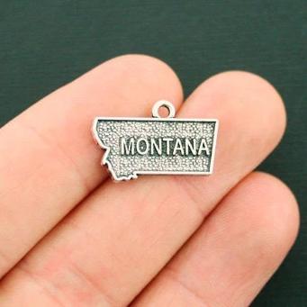 4 breloques argentées antiques de l'état du Montana 2 faces - SC6342
