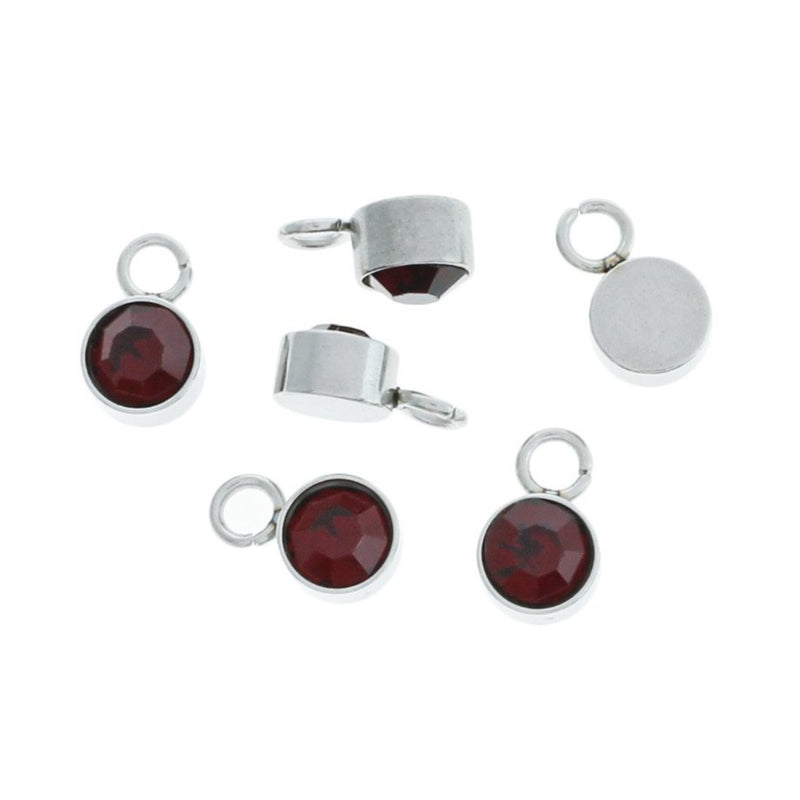 2 January Birthstone Silver Tone Stainless Steel Charms - DBD678