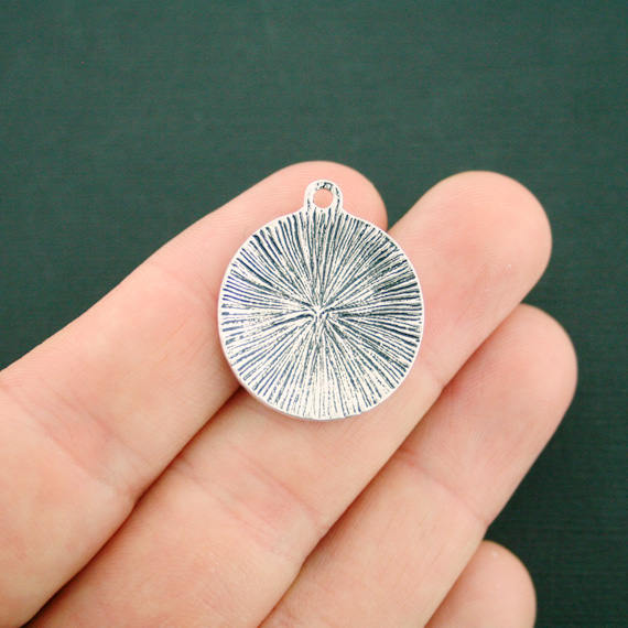 4 breloques de ton argent antique imprimé patte d'ours - SC7161
