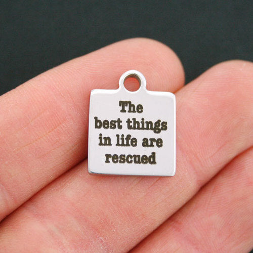 Rescue Stainless Steel Charms - The best things in life are rescued - BFS013-0649