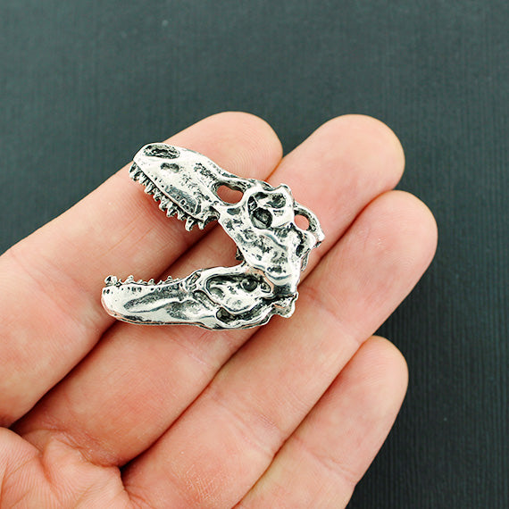 Dinosaur Antique Silver Tone Charms 2 Sided - SC4731
