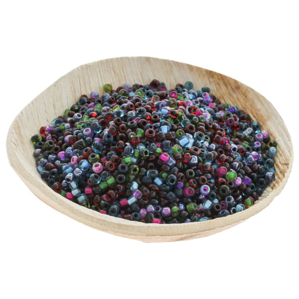 Perles de verre rocailles 8/0 3mm - Arc-en-ciel transparent assorti - 50g 1600 perles - BD484