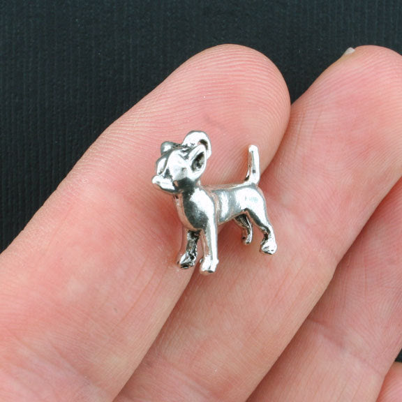 4 Chihuahua Antique Silver Tone Charms 3D - SC2477