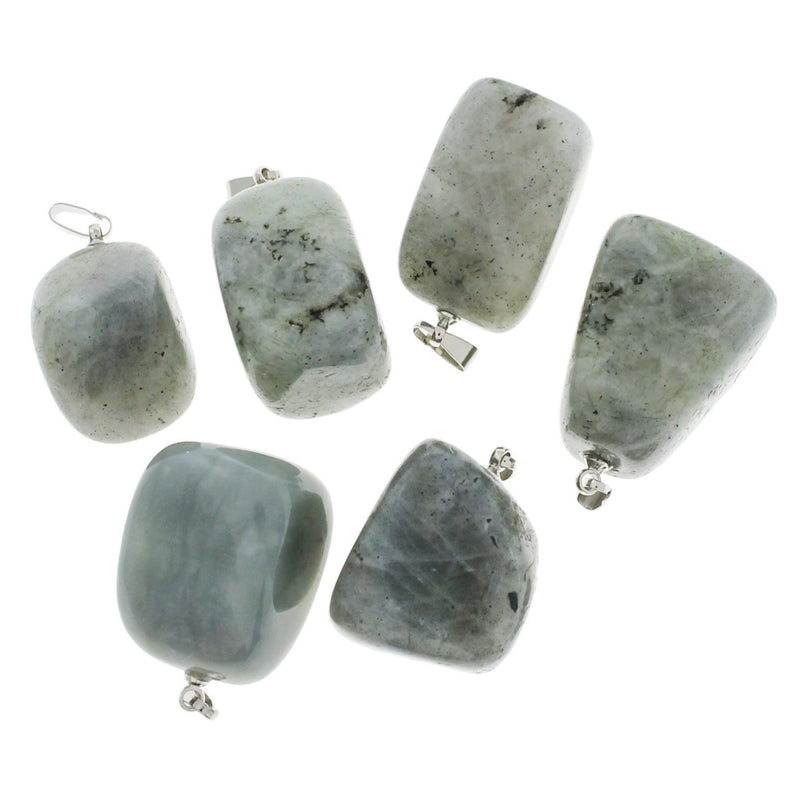 2 pendentifs en pierres précieuses de labradorite naturelle 3D - GEM144