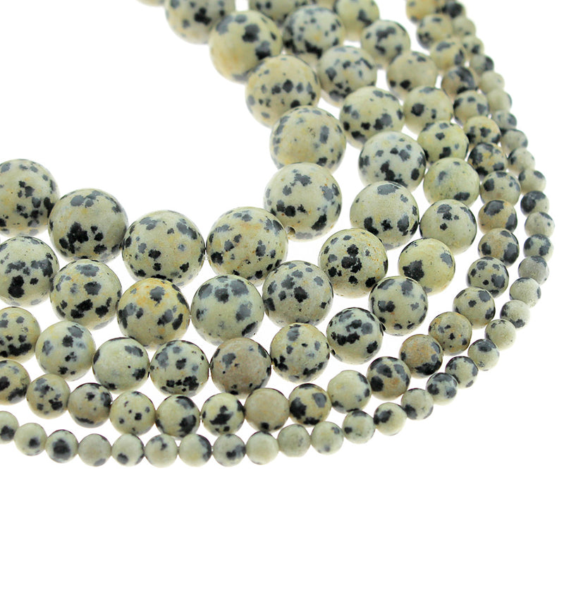 Perles rondes de jaspe dalmatien naturel 4mm -12mm - Choisissez votre taille - Moucheté noir et blanc - 1 brin complet de 15" - BD1836