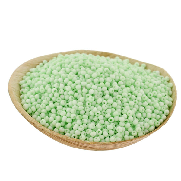 Seed Glass Beads 8/0 3mm - Frosted Mint Green - 50g 1500 Beads - BD1985