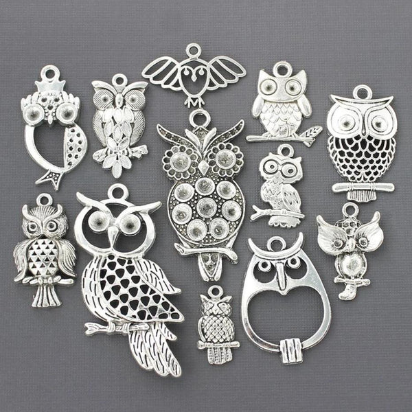 Deluxe Owl Charm Collection Antique Silver Tone 12 Different Charms - COL082H