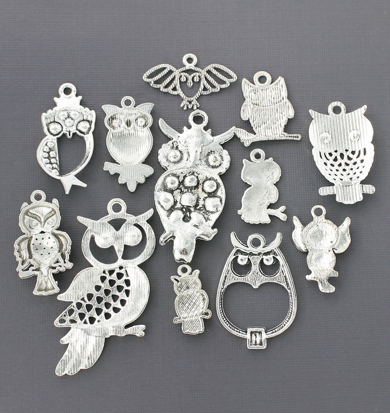 Deluxe Owl Charm Collection Antique Silver Tone 12 Different Charms - COL082H